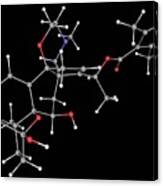 Batrachotoxin poison For Sale